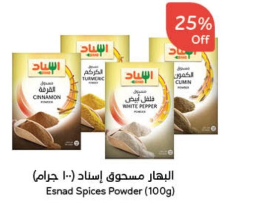 Spices available at Hyper Panda in KSA, Saudi Arabia, Saudi - Al Duwadimi