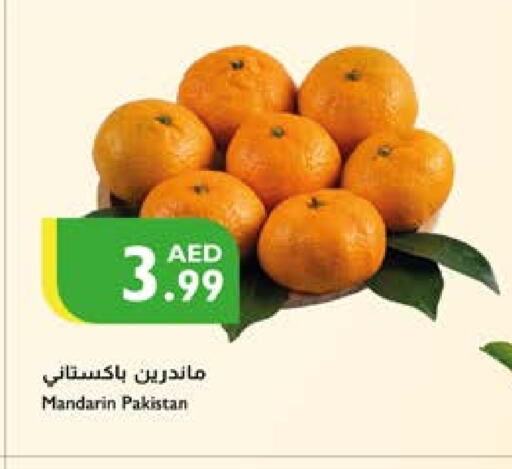 Orange from Pakistan available at Istanbul Supermarket in UAE - Al Ain