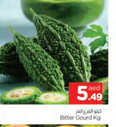 Gourd available at AL MADINA in UAE - Sharjah / Ajman