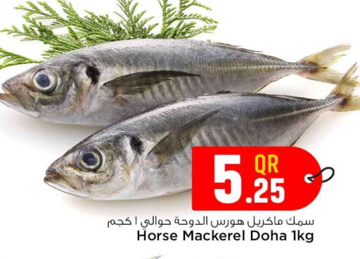 available at Safari Hypermarket in Qatar - Al Rayyan