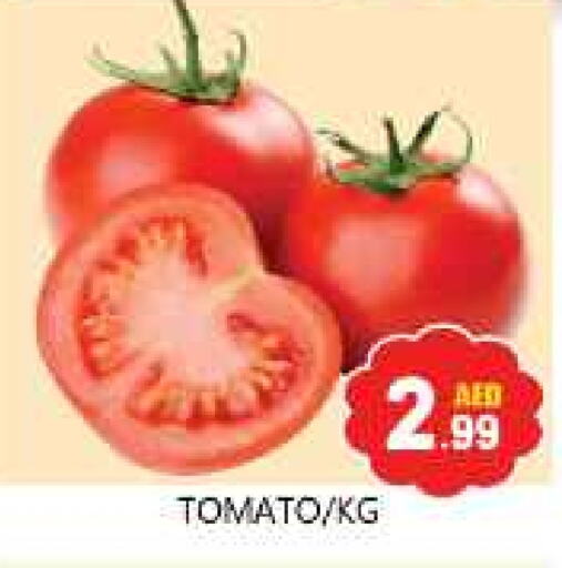 Tomato available at Souk Al Mubarak Hypermarket in UAE - Sharjah / Ajman