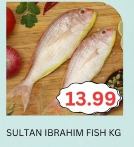 available at Majestic Supermarket in UAE - Abu Dhabi