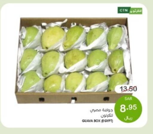 جوافة from Egypt available at  مـزايــا in مملكة العربية السعودية, السعودية, سعودية - القطيف‎