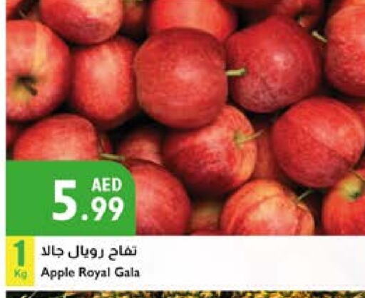 تفاح available at إسطنبول سوبرماركت in الإمارات العربية المتحدة , الامارات - أبو ظبي