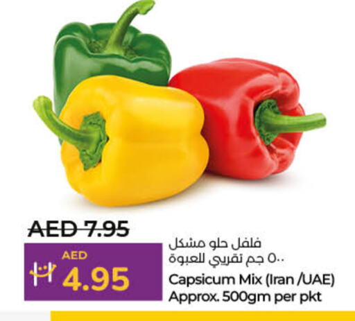 Chilli / Capsicum from Iran available at Lulu Hypermarket in UAE - Dubai