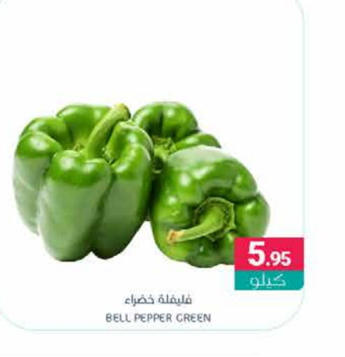 فلفل / فليفلة available at اسواق المنتزه in مملكة العربية السعودية, السعودية, سعودية - القطيف‎