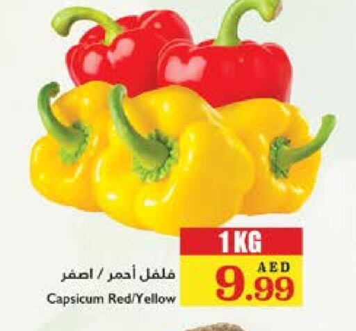 Chilli / Capsicum available at Trolleys Supermarket in UAE - Sharjah / Ajman