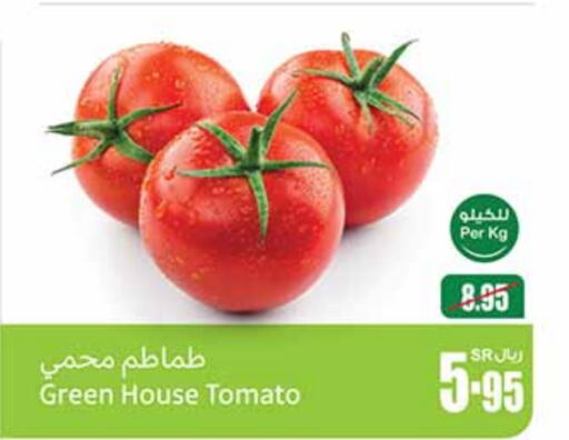 Tomato available at Othaim Markets in KSA, Saudi Arabia, Saudi - Riyadh