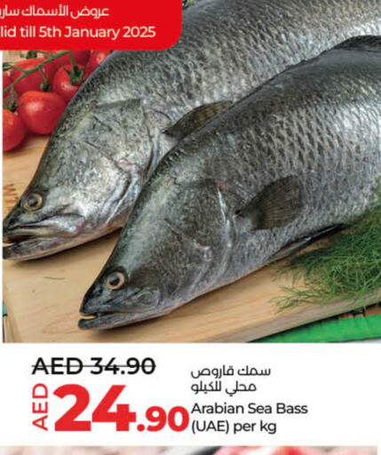 available at Lulu Hypermarket in UAE - Fujairah