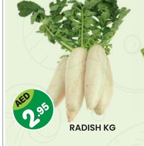 Radish available at Baniyas Spike  in UAE - Umm al Quwain