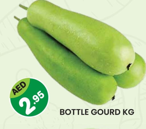 Gourd available at Baniyas Spike  in UAE - Sharjah / Ajman