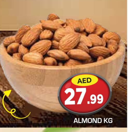 available at سنابل بني ياس in الإمارات العربية المتحدة , الامارات - أبو ظبي