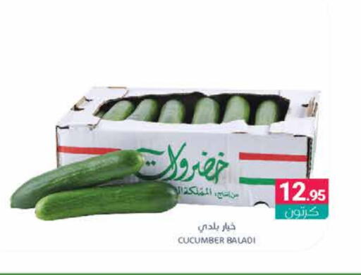 Cucumber available at Muntazah Markets in KSA, Saudi Arabia, Saudi - Qatif