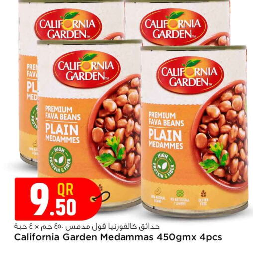 CALIFORNIA Fava Beans available at Safari Hypermarket in Qatar - Al Khor