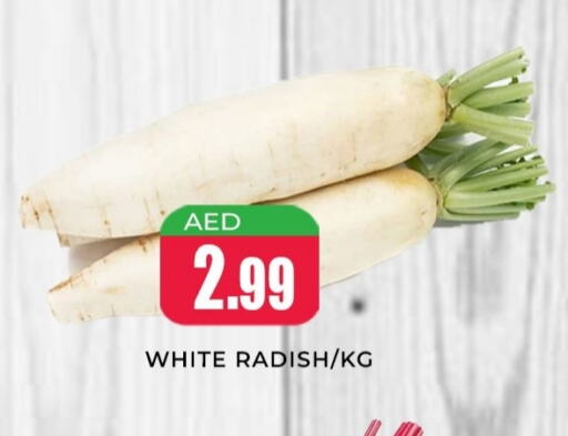 Radish available at Meena Al Madina Hypermarket  in UAE - Sharjah / Ajman