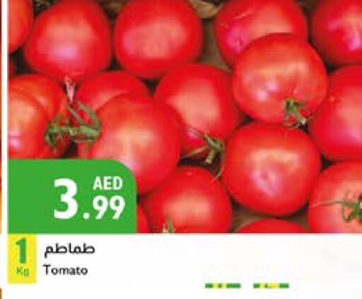 Tomato available at إسطنبول سوبرماركت in الإمارات العربية المتحدة , الامارات - دبي