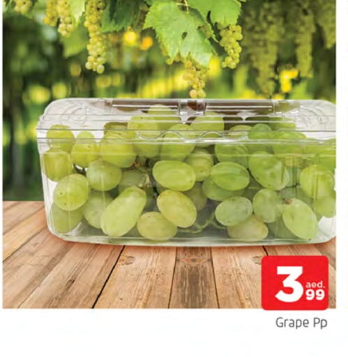 Grapes available at AL MADINA in UAE - Sharjah / Ajman