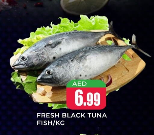 Tuna available at Meena Al Madina Hypermarket  in UAE - Sharjah / Ajman