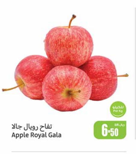 تفاح available at أسواق عبد الله العثيم in مملكة العربية السعودية, السعودية, سعودية - أبها