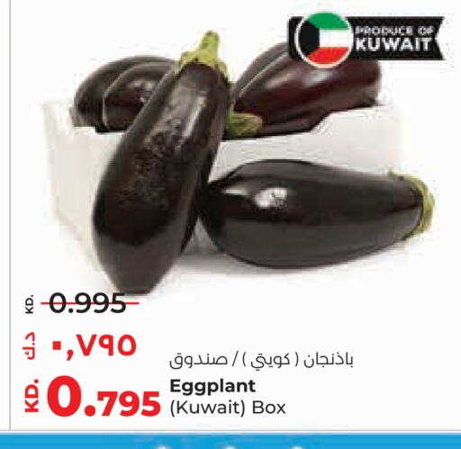 Eggplant from Kuwait available at Lulu Hypermarket  in Kuwait - Jahra Governorate