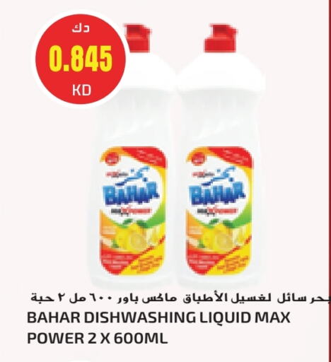 بهار available at جراند كوستو in الكويت - محافظة الأحمدي