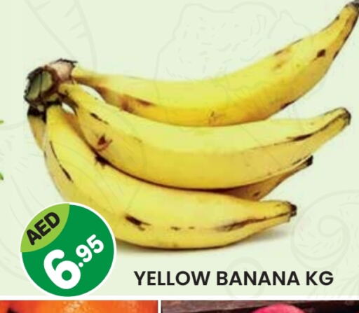 Banana available at Baniyas Spike  in UAE - Ras al Khaimah