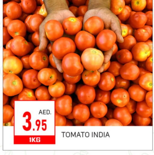 Tomato from India available at TALAL MARKET in UAE - Dubai