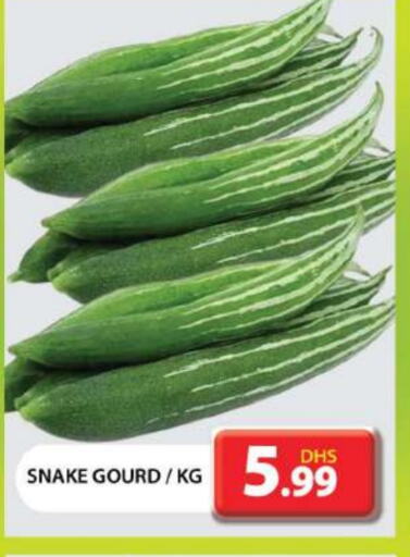 Gourd available at Grand Hyper Market in UAE - Dubai