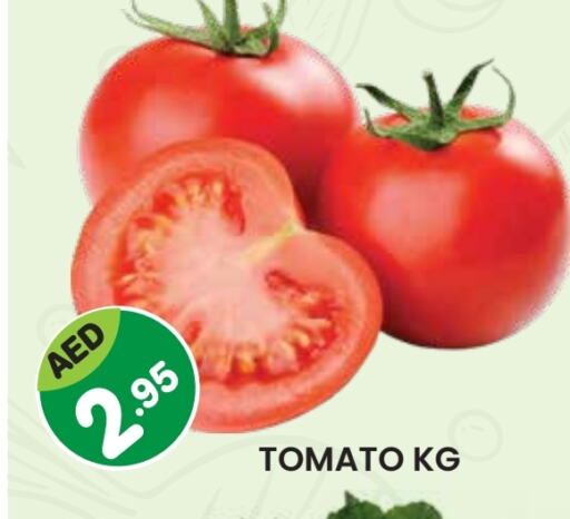 Tomato