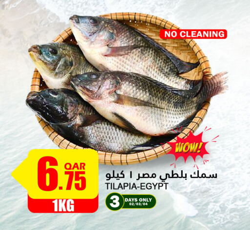 available at قصر الأغذية هايبرماركت in قطر - أم صلال