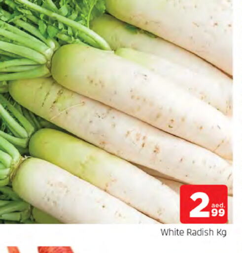 Radish available at AL MADINA in UAE - Sharjah / Ajman