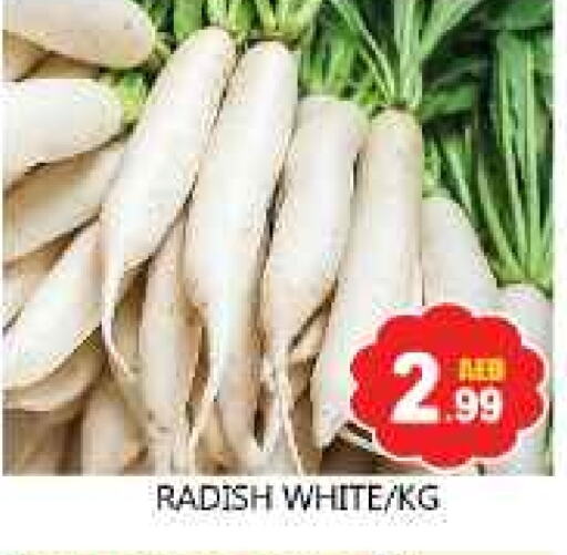 Radish available at Souk Al Mubarak Hypermarket in UAE - Sharjah / Ajman