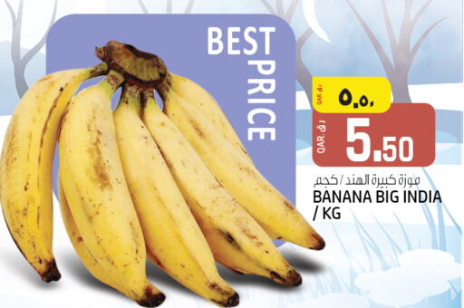 Banana from India available at Saudia Hypermarket in Qatar - Al Wakra