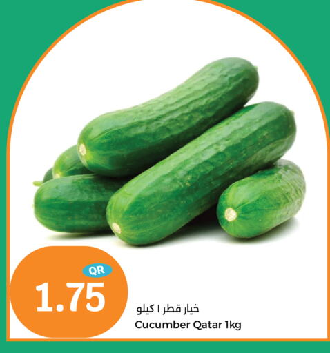 Cucumber available at سيتي هايبرماركت in قطر - الشحانية