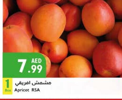 Apricot available at Istanbul Supermarket in UAE - Al Ain