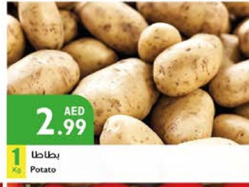 Potato available at Istanbul Supermarket in UAE - Dubai