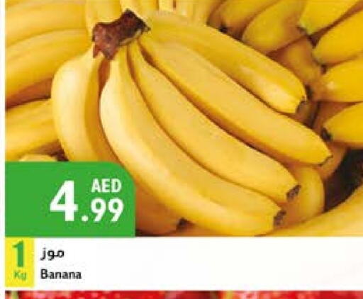 Banana available at Istanbul Supermarket in UAE - Dubai