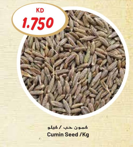 Cumin available at Grand Hyper in Kuwait - Ahmadi Governorate