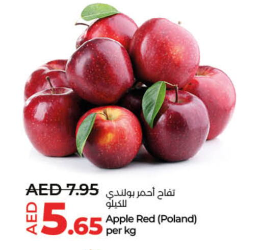 Apple available at Lulu Hypermarket in UAE - Umm al Quwain