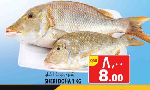 available at Marza Hypermarket in Qatar - Al Rayyan