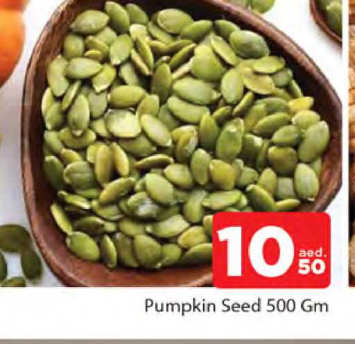 Pumpkin available at المدينة in الإمارات العربية المتحدة , الامارات - الشارقة / عجمان