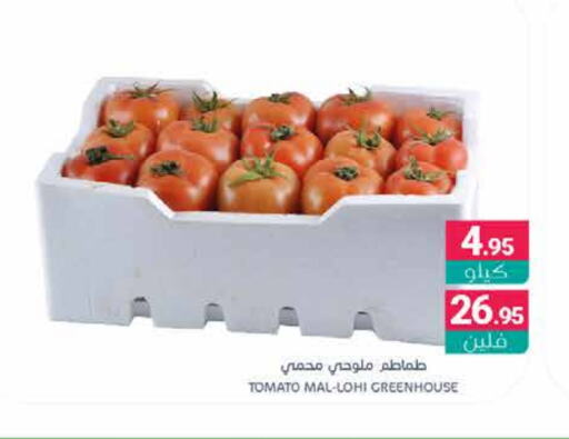 Tomato available at Muntazah Markets in KSA, Saudi Arabia, Saudi - Dammam