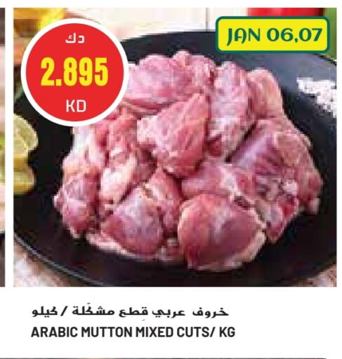 Mutton / Lamb available at Grand Costo in Kuwait - Kuwait City