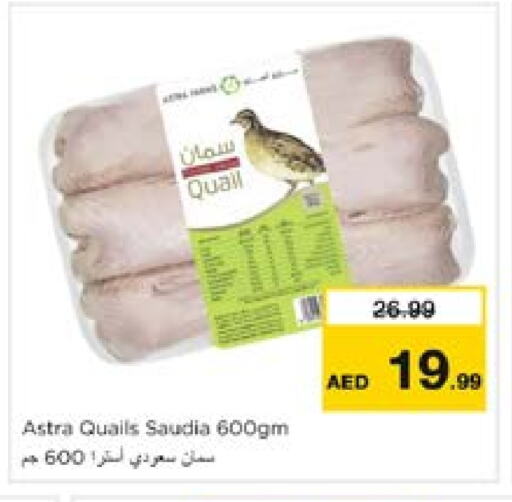 SAUDIA available at Nesto Hypermarket in UAE - Sharjah / Ajman