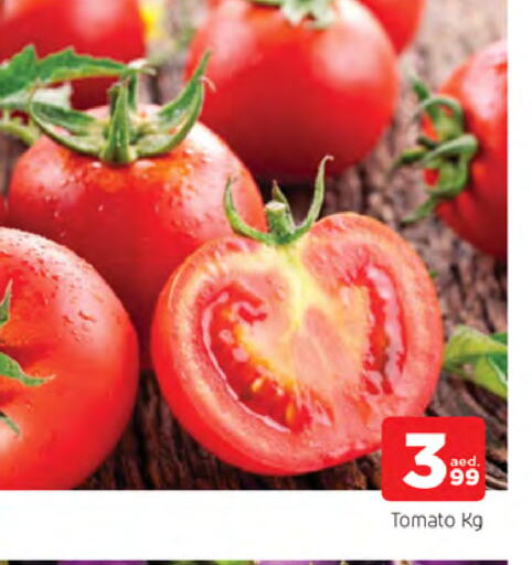 Tomato available at AL MADINA in UAE - Sharjah / Ajman