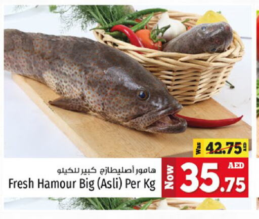 available at Kenz Hypermarket in UAE - Sharjah / Ajman