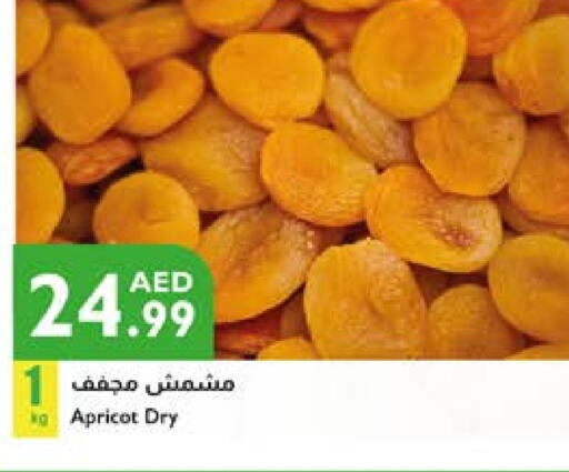 Apricot available at Istanbul Supermarket in UAE - Al Ain