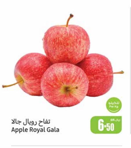 تفاح available at أسواق عبد الله العثيم in مملكة العربية السعودية, السعودية, سعودية - عنيزة