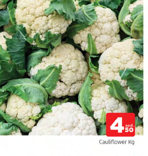 Cauliflower available at AL MADINA in UAE - Sharjah / Ajman