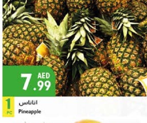 أناناس available at إسطنبول سوبرماركت in الإمارات العربية المتحدة , الامارات - أبو ظبي